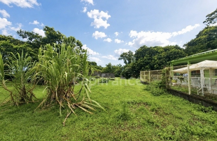 Vente Terrain 729m&sup2; L'Ajoupa Bouillon