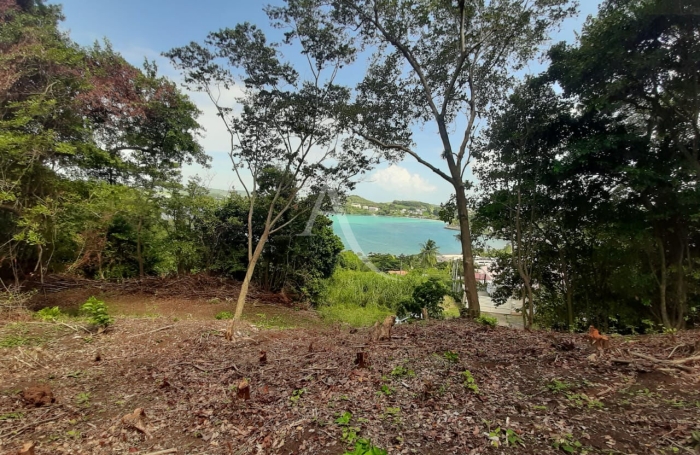 Vente Terrain 2634m&sup2; La Trinit&eacute;
