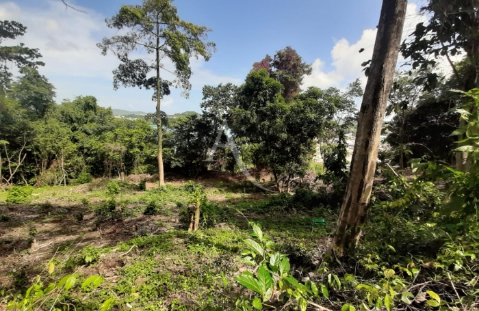Vente Terrain 2634m&sup2; La Trinit&eacute;