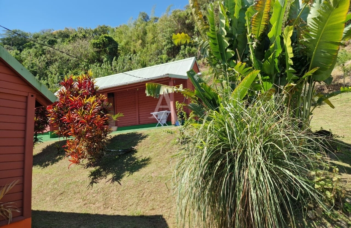 Vente Maison 1m&sup2; 10 pi&egrave;ces Saint Pierre