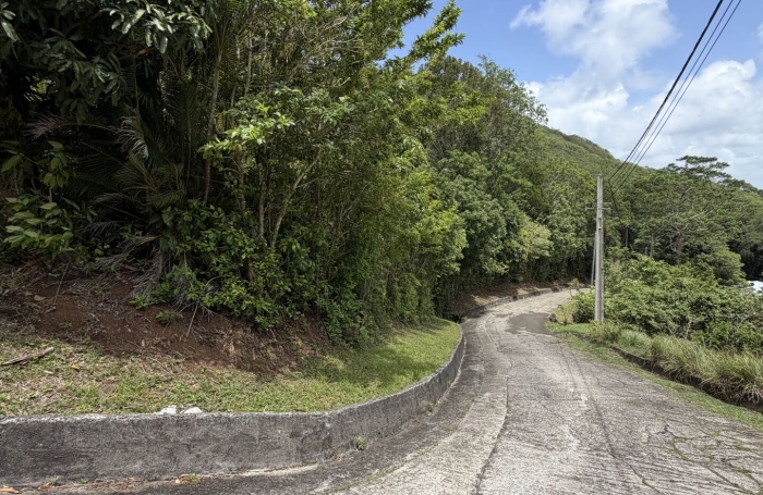 Vente Terrain 7948m&sup2; Les Trois Ilets