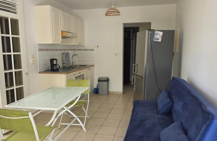 Location Appartement 2 pièces Rivi&egrave;re Sal&eacute;e