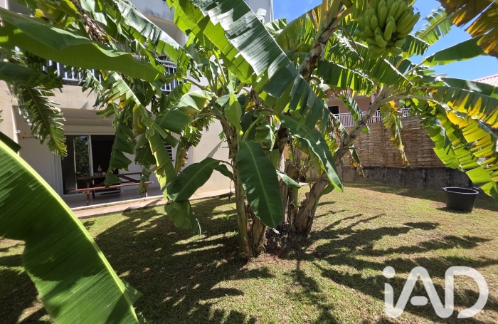 Vente Appartement 77m&sup2; 4 pièces Saint-Esprit