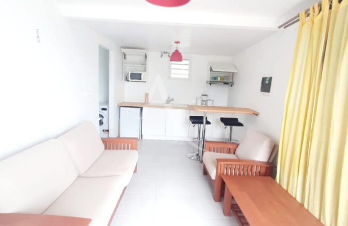Location Appartement 37.32m&sup2; 2 pi&egrave;ces Rivi&egrave;re Sal&eacute;e