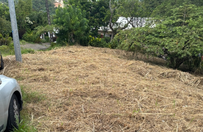 Vente Terrain 593m&sup2; Le Robert