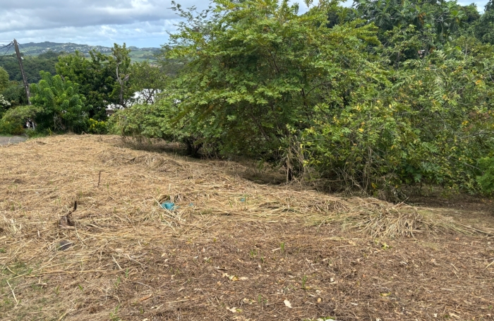 Vente Terrain 593m&sup2; Le Robert