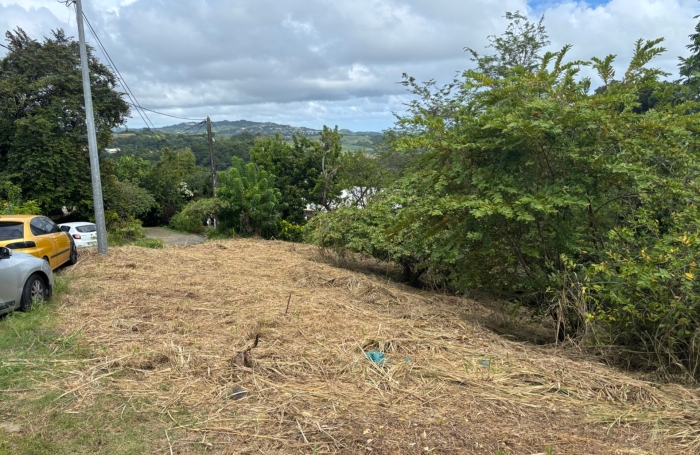 Vente Terrain 593m&sup2; Le Robert