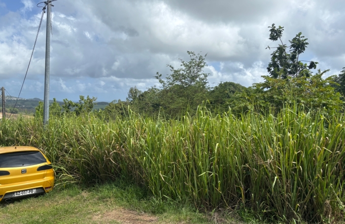 Vente Terrain 593m&sup2; Le Robert