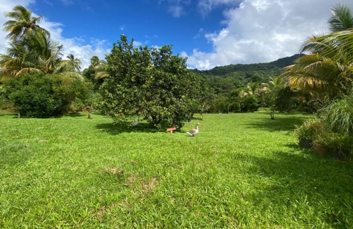 Vente Immeuble 184m&sup2; 9 pièces Le Morne Rouge