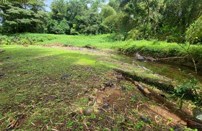 Vente Immeuble 184m&sup2; 9 pièces Le Morne Rouge