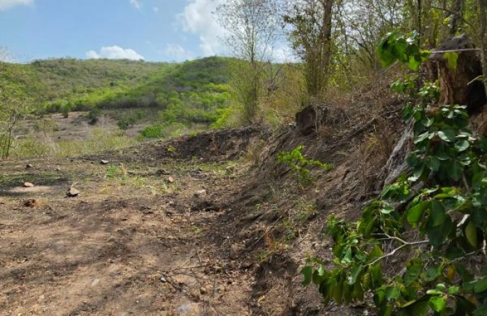 Vente Terrain 1000m&sup2; Les Anses d'Arlet