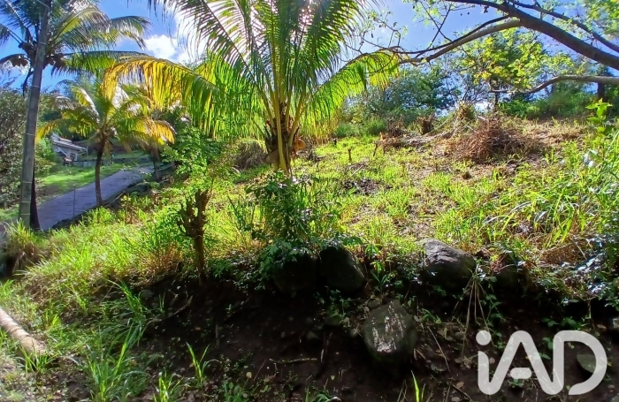 Vente Terrain 800m&sup2; Rivi&egrave;re Pilote