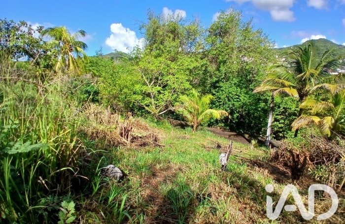 Vente Terrain 800m&sup2; Rivi&egrave;re Pilote
