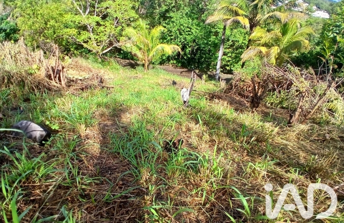 Vente Terrain 800m&sup2; Rivi&egrave;re Pilote