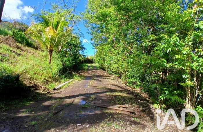 Vente Terrain 800m&sup2; Rivi&egrave;re Pilote