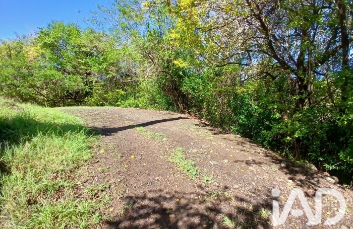 Vente Terrain 800m&sup2; Rivi&egrave;re Pilote