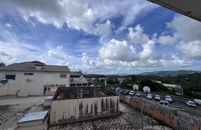 Vente Appartement 35.03m&sup2; 1 pi&egrave;ce Ducos