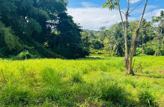 Vente Terrain 1866m&sup2; Ducos