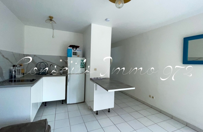Location Appartement 97200