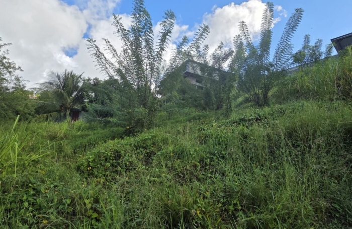 Vente Terrain 922m&sup2; Sainte Luce