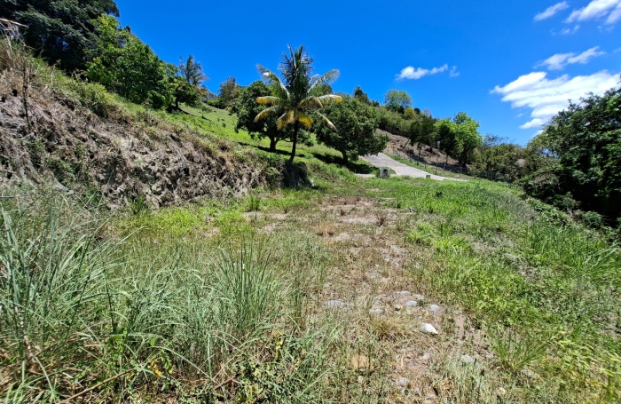 Vente Terrain 97228
