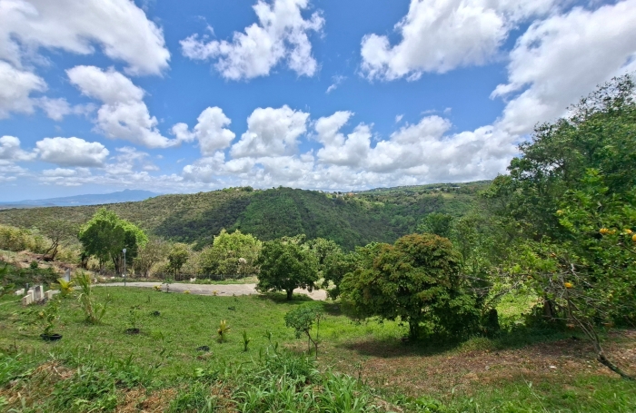 Vente Terrain 707m&sup2; Sainte Luce