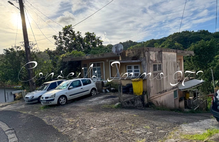 Vente Immeuble 97211