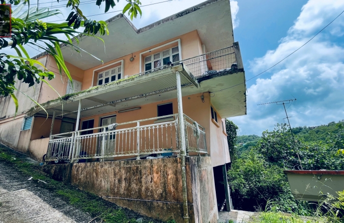 Vente Immeuble de Rapport &agrave; Rivi&egrave;re-Pilote, Martinique - Opportunit&eacute; d'Investissement Immobilier