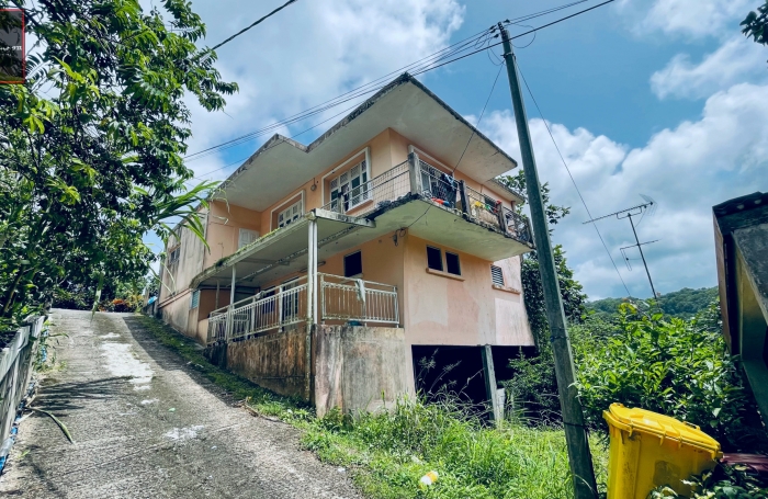 Vente Immeuble de Rapport &agrave; Rivi&egrave;re-Pilote, Martinique - Opportunit&eacute; d'Investissement Immobilier