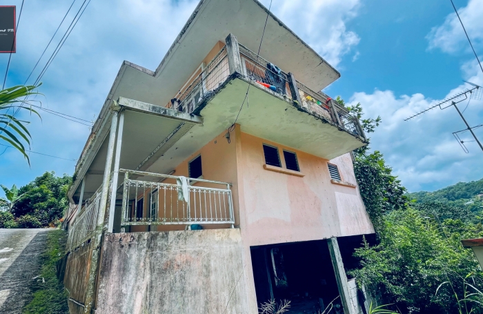 Vente Immeuble de Rapport &agrave; Rivi&egrave;re-Pilote, Martinique - Opportunit&eacute; d'Investissement Immobilier