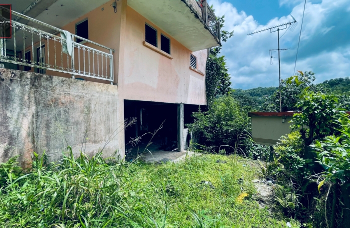Vente Immeuble de Rapport &agrave; Rivi&egrave;re-Pilote, Martinique - Opportunit&eacute; d'Investissement Immobilier