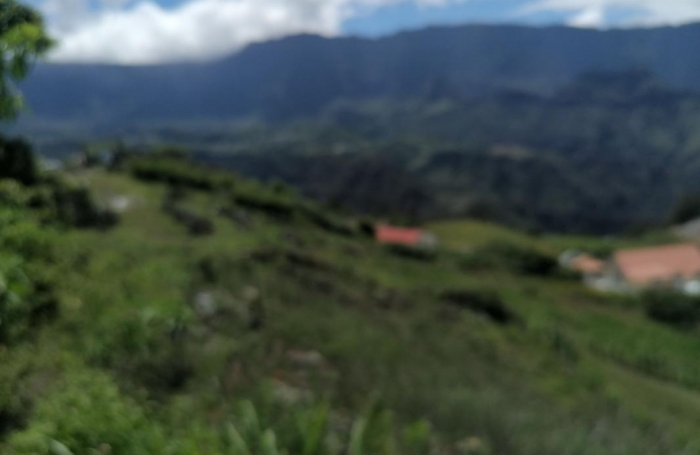 Vente Terrain 800m&sup2; Cilaos