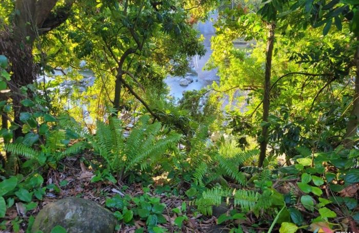 Vente Terrain Sainte Anne