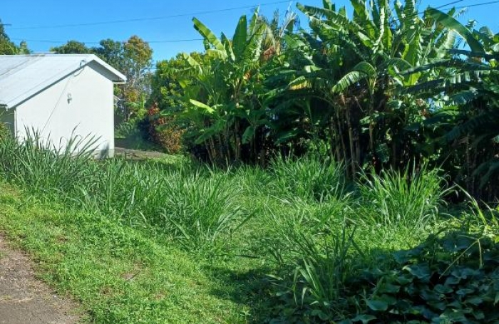 Vente Maison 4 pi&#232;ces Sainte Marie