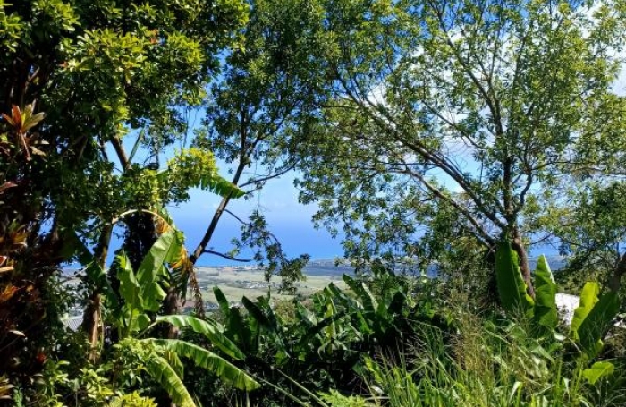 Vente Maison 4 pi&#232;ces Sainte Marie