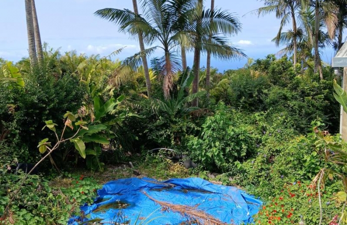 Vente Maison 82m&sup2; 4 pi&#232;ces Petite île