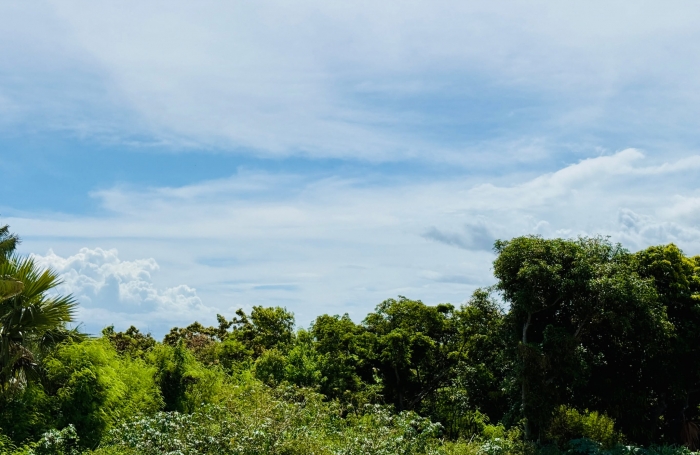 SAINT PIERRE (97410) - VILLA F3 FONCTIONNELLE ET AGREABLE - COMMODITES À PROXIMITÉ