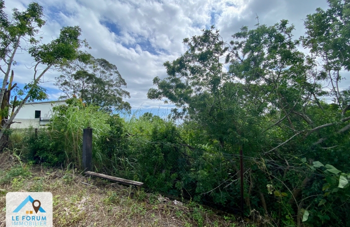 Vente Terrain 97410