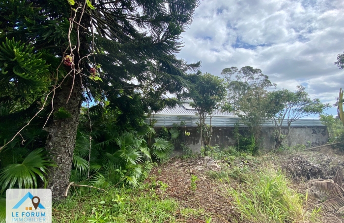 SAINT PIERRE 97410 - TERRAIN PLAT AVEC VUE DEGAGEE - EMPLACEMENT DE CHOIX