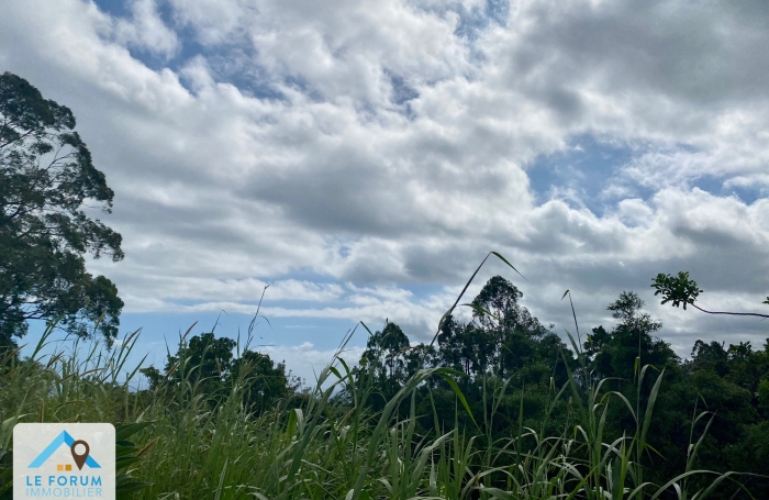 SAINT PIERRE 97410 - TERRAIN PLAT AVEC VUE DEGAGEE - EMPLACEMENT DE CHOIX