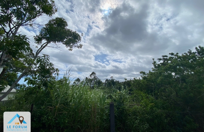 SAINT PIERRE 97410 - TERRAIN PLAT AVEC VUE DEGAGEE - EMPLACEMENT DE CHOIX