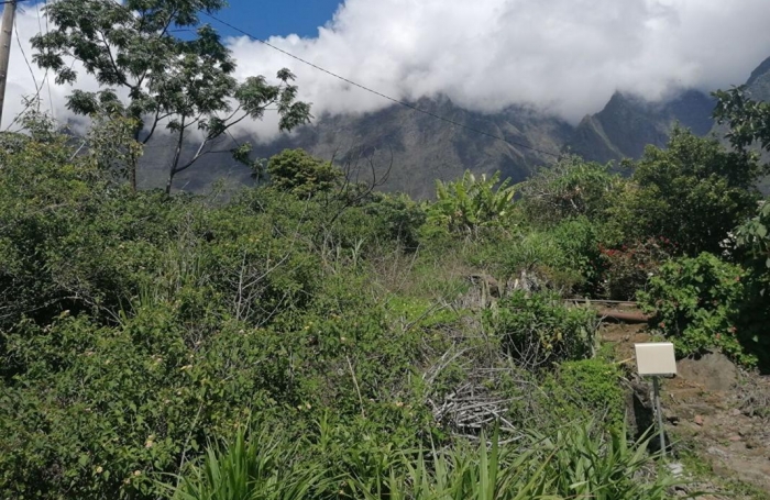 Vente Terrain 1200m&sup2; Cilaos