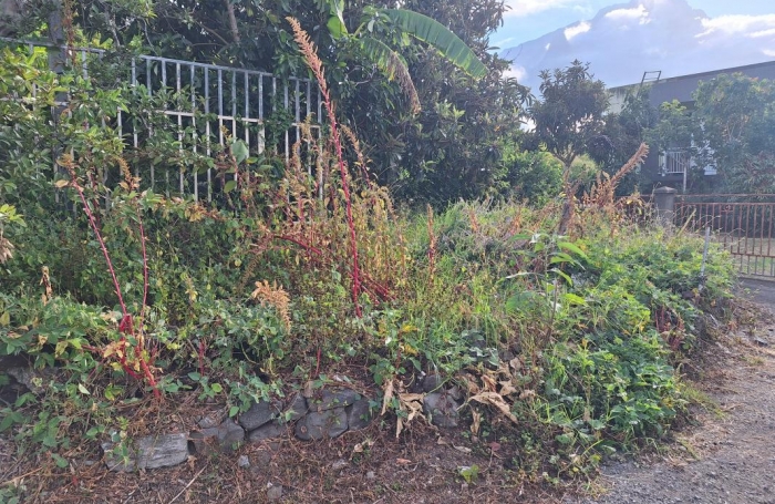 Vente Terrain 442m&sup2; Cilaos