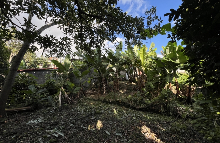 TAMPON 97430 - MAISON DE PLAIN PIED À RAFRAÎCHIR - SECTEUR PRISÉ