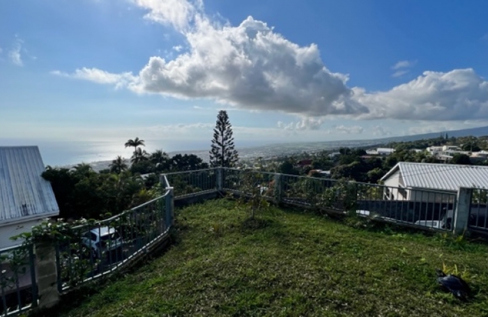 Maison type T5, Les cam&eacute;lias