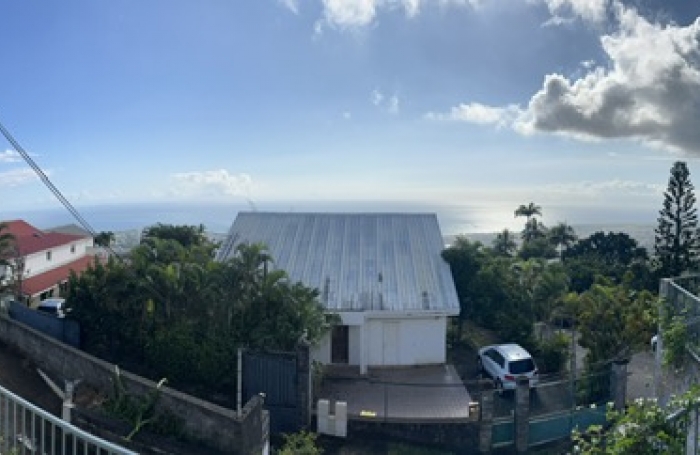 Maison type T5, Les cam&eacute;lias