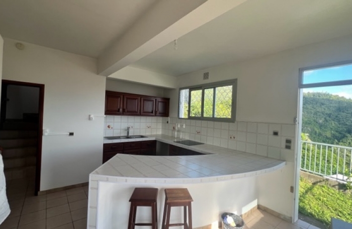 Maison type T5, Les cam&eacute;lias