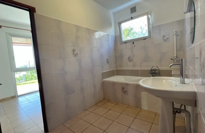 Maison type T5, Les cam&eacute;lias