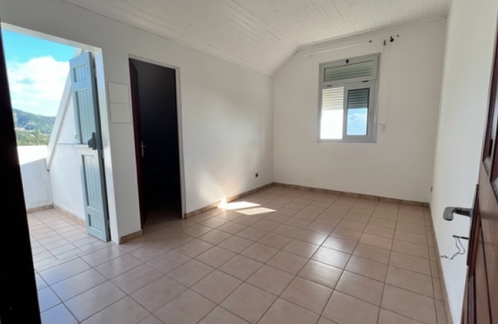 Maison type T5, Les cam&eacute;lias