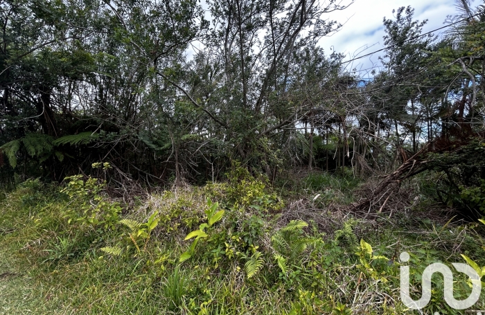 Vente Terrain 546m&sup2; Saint Joseph